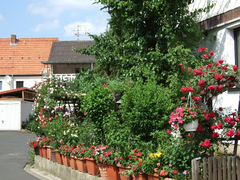 2011- 123.jpg